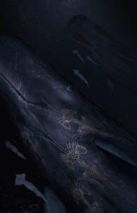 39b1ffa90d784282942a2f88a2205508