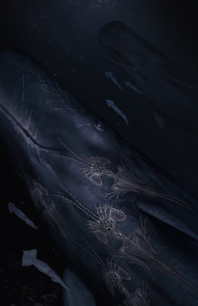 39b1ffa90d784282942a2f88a2205508